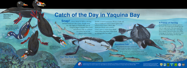 Catch of the Day in Interpretive Panels